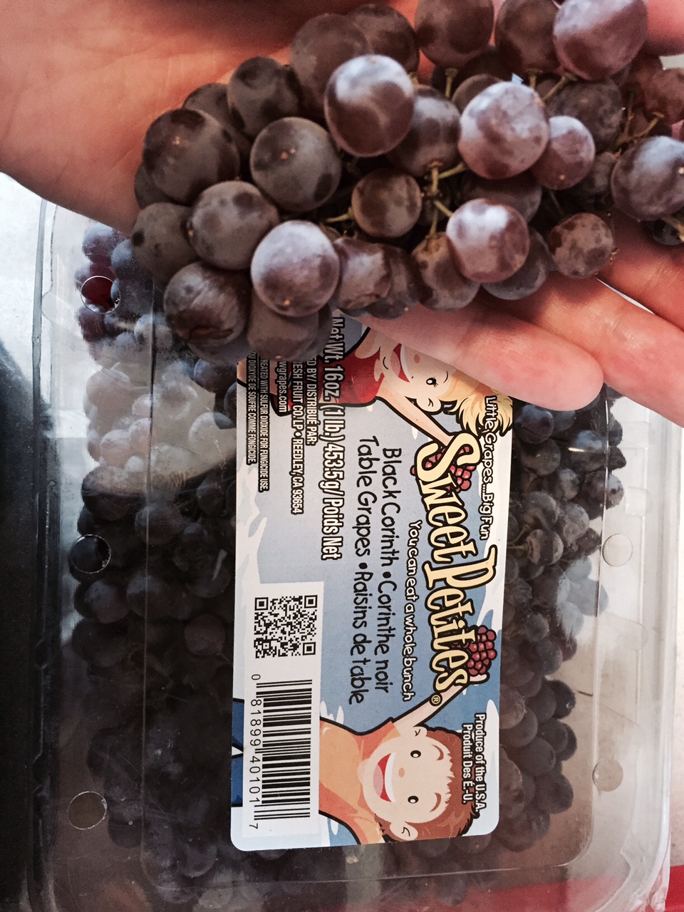 Can guinea eat sales grapes